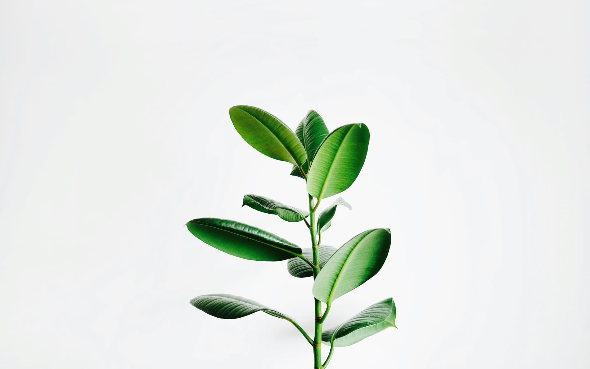 How to create a website that truly connects with your audience