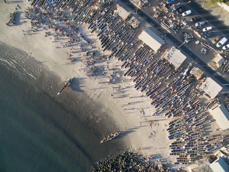 Celebrating Jill Casey's Incredible Fundraising Efforts and Upcoming Kilimanjaro Climb